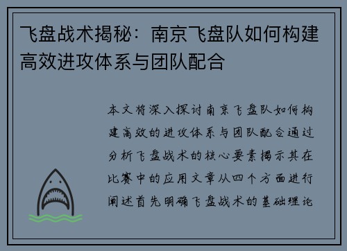 飞盘战术揭秘：南京飞盘队如何构建高效进攻体系与团队配合
